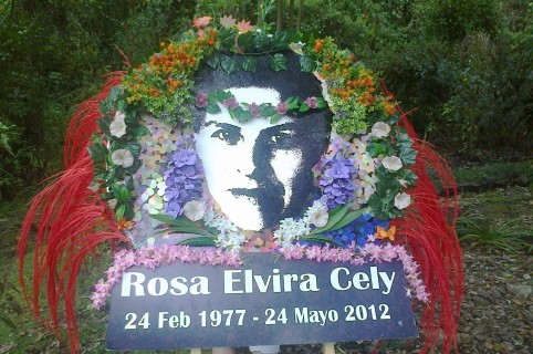 dhColombia Feminicidio de Rosa Elvira Cely, 10 años de impunidad REC