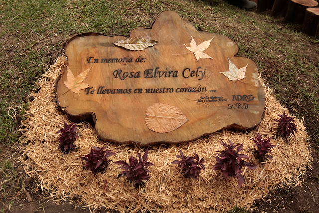 dhColombia Feminicidio de Rosa Elvira Cely, 10 años de impunidad homenaje