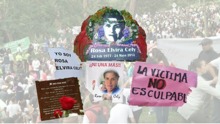 Continua el proceso por el feminicidio de Rosa Elvira Cely