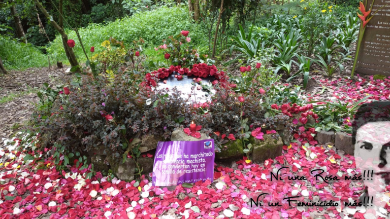 NI UNA ROSA MÁS 8 años de impunidad