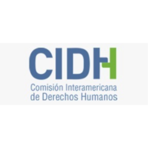 dhColombia Organizaciones aliadas CIDH 300x300