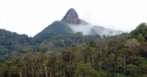 Sur de Bolívar camina con el paro nacional